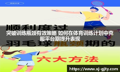 凤凰联盟入口